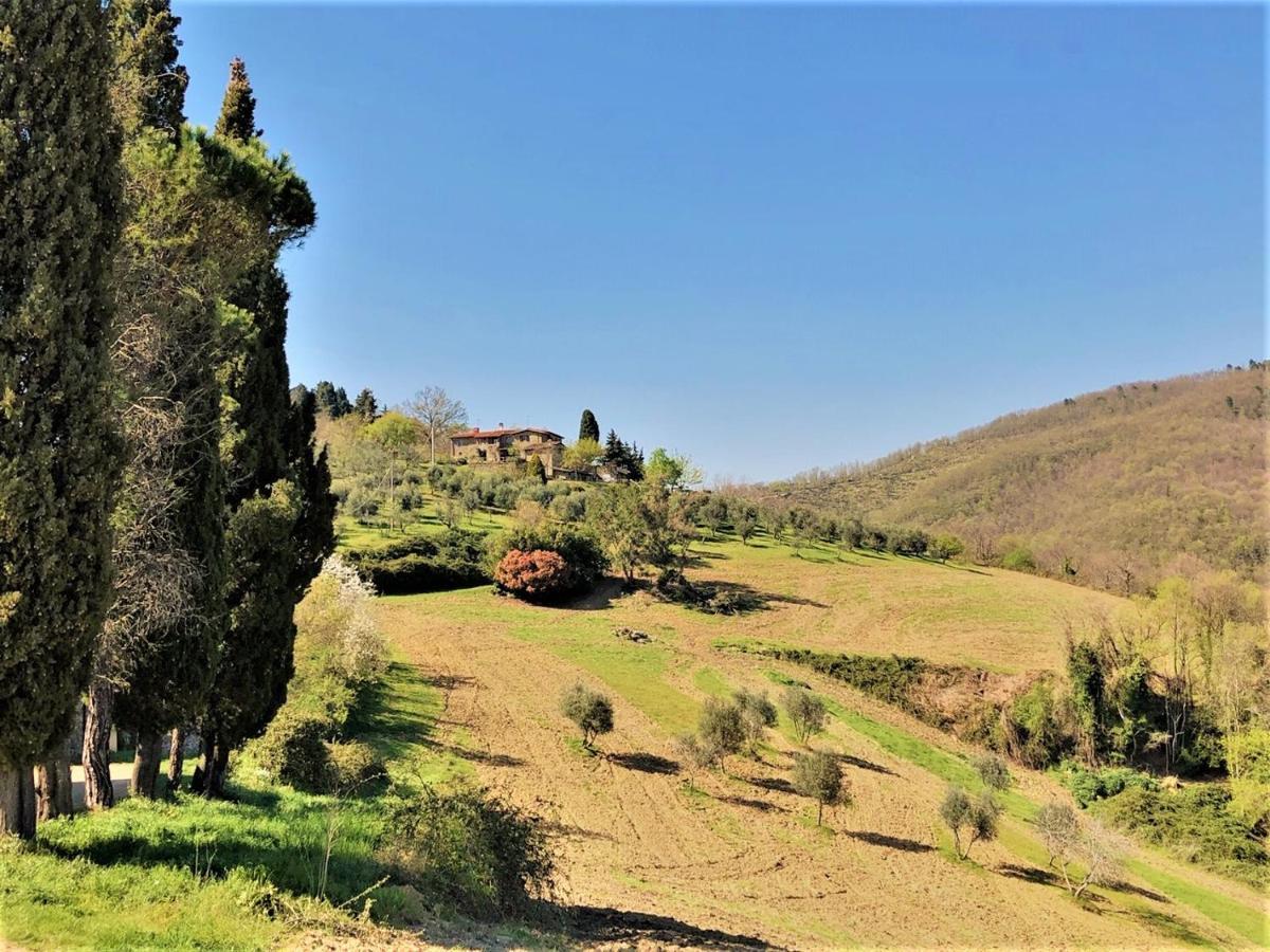 Agriturismo La Sala Greve in Chianti Bagian luar foto